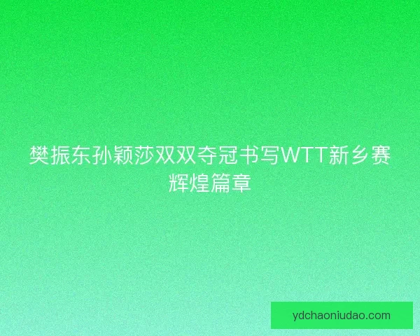 樊振东孙颖莎双双夺冠书写WTT新乡赛辉煌篇章